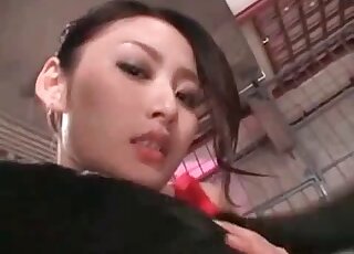 Asian model and a massive hound