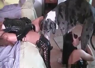 Masked babes and a hung dog