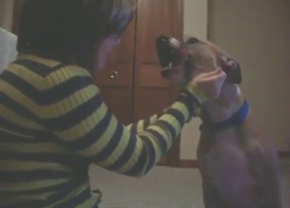 Pitbull kissing session with a slutty zoophile gal