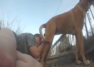 Fat and pasty zoophile fucks a dog on all fours