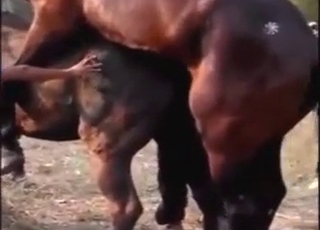 日本马享受着激烈的性交