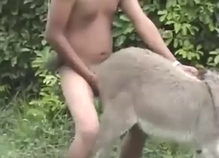 Donkey getting fucked from behind, outside