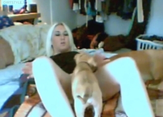 网络摄像头前的金发业余爱好者被一只性感的杂种狗舔舐