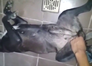 这婊子会很享受所有这些手指爱抚之类的。