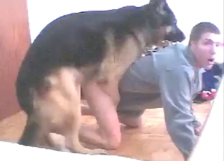 呻吟的男人被他最喜欢的狗操了