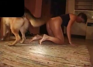 胖乎乎的业余动物园荡妇喜欢狗色情片
