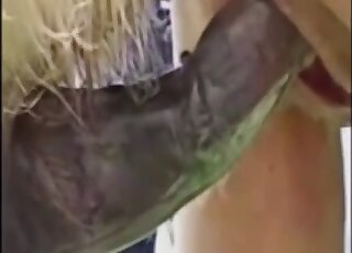 Aesthetic horse bestiality XXX in the close-up