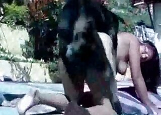 Zoo fuck movie with zoophiles and animals